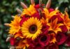 Blumen für den Oktober Brautstrauß: Die besten Optionen für Ihre Hochzeit Blumen Oktober Brautstrauß